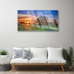 Skleneny obraz Lúka slnko krajina 100x50 cm