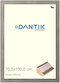 DANTIK rám na obraz 70x100 | Museo stříbrná (Plexi Čiré)