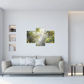 Obraz - Tropický dažďový prales (90x60 cm)