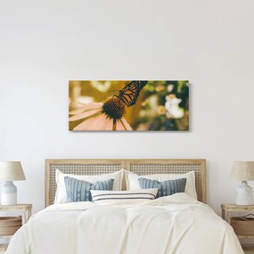 Obraz motýľa na kvetine (120x50 cm)