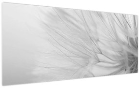 Obraz - Púpava (120x50 cm)