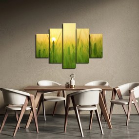 Obraz - Pole s obilím (150x105 cm)