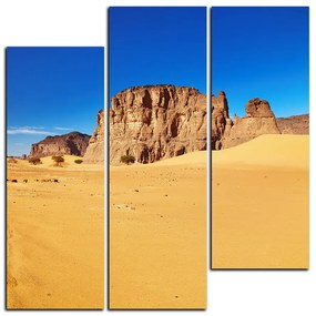 Obraz na plátne - Cesta v púšti - štvorec 3129D (105x105 cm)