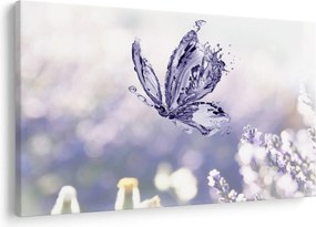 Obraz - Motýľ a levanduľa (90x60 cm)