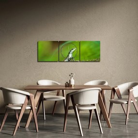 Obraz jašteričky (s hodinami) (90x30 cm)