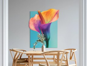 drevko |  Obraz Kala v kontraste  60 x 465 cm