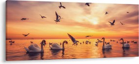 Obraz - Labute (120x50 cm)
