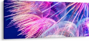 Obraz - Makro (120x50 cm)
