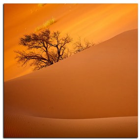 Obraz na plátne - Červené piesočné duny - štvorec 3133A (50x50 cm)