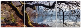 Obraz na plátne - Jeseň pri jazere - panoráma 5198C (120x40 cm)