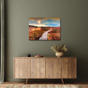 Obraz - Jesenná cesta krajinou (70x50 cm)