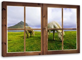 Obraz na plátně Výhled  z okna na koňskou louku - 90x60 cm
