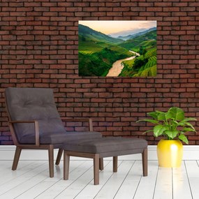 Obraz - Ryžové terasy II. (70x50 cm)