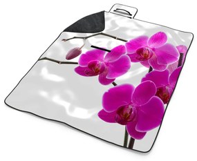 Sablio Plážová deka Fialové Orchidey: 200x140 cm