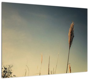 Sklenený obraz s trávou (70x50 cm)