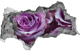 Fototapeta nálepka na stenu Fialové ruže nd-b-106010688