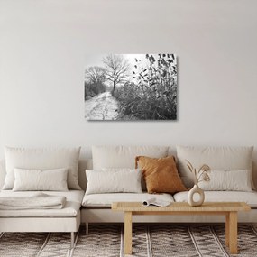 Sklenený obraz - Pole v zime (70x50 cm)