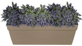 Kvetináč Melrose Glamour 50x18x16h 10lt Mocca Dbm50