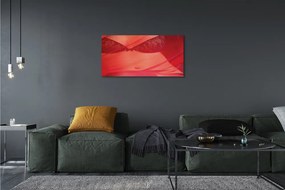 Obraz canvas Žena v červenom tylu 100x50 cm