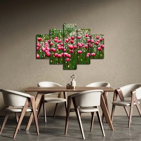 Obraz tulipánov (150x105 cm)