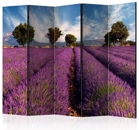 Artgeist Paraván - Lavender field in Provence, France [Room Dividers]