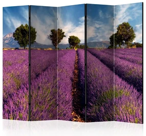 Artgeist Paraván - Lavender field in Provence, France [Room Dividers]