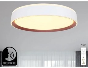 LED Stmievateľné stropné svietidlo s hlasovým ovládaním OPAL LED/48W/230V + DO