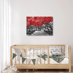 Sklenený obraz - Červené stromy, Central Park, New York (70x50 cm)