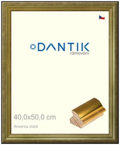 DANTIK rám na obraz 40x50 | ANIVERSA zlatá (Sklo Čiré)