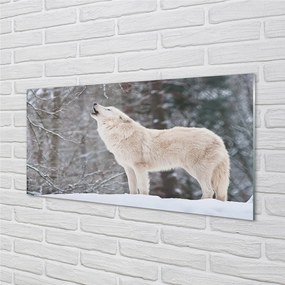 Obraz na akrylátovom skle Vlk v zime lese 140x70 cm
