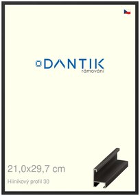 DANTIK rám na obraz 21x29,7 | ALU Černá matná (Sklo Čiré)