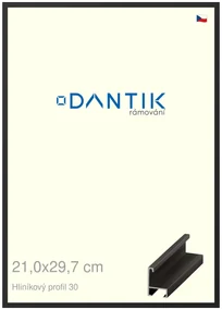DANTIK rám na obraz 21x29,7 | ALU Černá matná (Sklo Čiré)