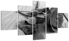 Obraz čiernobiele ruže
