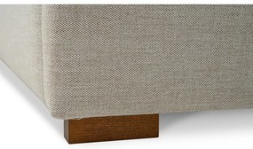 Svetlosivá čalúnená dvojlôžková posteľ s roštom 160x200 cm Dreamer – Scandic