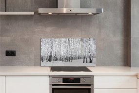 Nástenný panel  zimný brezy 100x50 cm