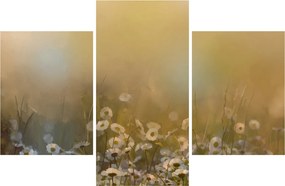 Obraz - Olejomaľba sedmokrások (90x60 cm)