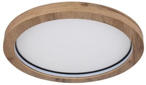 Globo 41374-24R - LED RGBW Stmievateľné stropné svietidlo BRANZA LED/24W/230V + DO