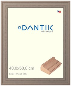 DANTIK rám na obraz 40x50 | STEP hnědá (Plexi Čiré)