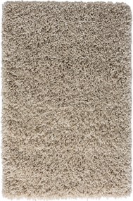 Kusový koberec My Shaggy beige, 160x230, béžová, chodba / predsieň, My Flair