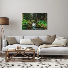 Obraz potoka v lese (90x60 cm)