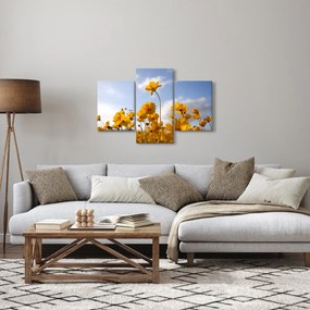 Obraz poľa s jasne žltými kvetmi (90x60 cm)