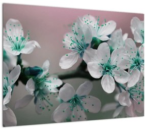 Sklenený obraz kvetov - tyrkysové (70x50 cm)