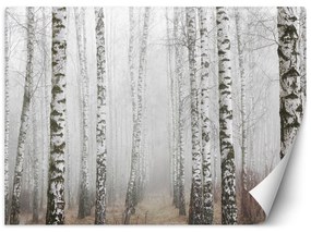 Gario Fototapeta Brezový les v hmle Materiál: Vliesová, Rozmery: 200 x 140 cm