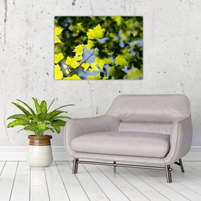 Sklenený obraz - javorové listy (70x50 cm)