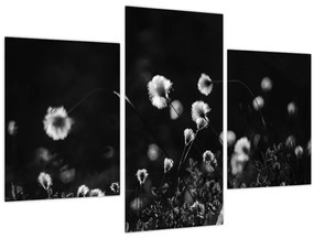 Obraz - Lúka s cottongrass N⁰1 (90x60 cm)