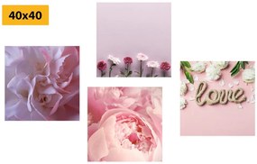 Set obrazov kvety v jemnom ružovom odtieni - 4x 40x40