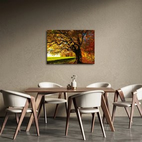 Obraz jesene (70x50 cm)