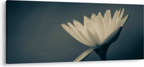 Obraz kvetu (120x50 cm)