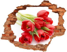 Samolepiaca diera na stenu nálepka Červené tulipány nd-c-99817079
