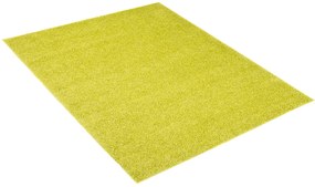 Kusový shaggy koberec TKY-6365 zelený